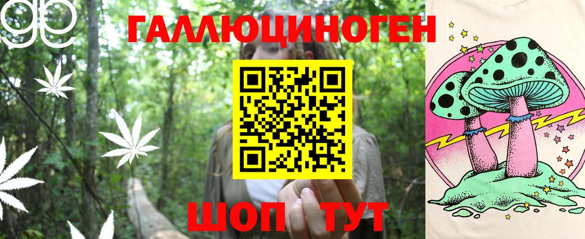 где найти   Псилоцибиновые грибы прущие грибы  Вход с VPN  Кировск  Галлюциногенные грибы ЛСД 